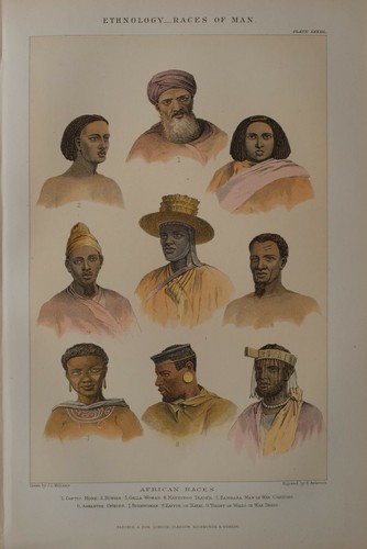 1886 imprimé ethnology - 1886,