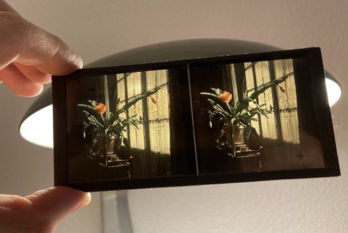 Rare ancien autochrome - &,