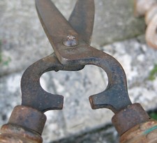 CISAILLE ANCIENNE,ancien