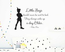Peter Pan Wall Decal, Peter