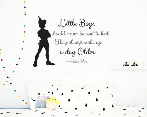 Peter pan wall decal - peter,