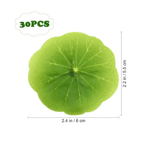 Pcs lentilles eau - pcs, plantes
