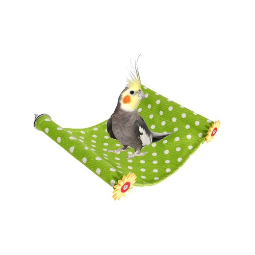 Balançoire pour oiseaux jeu - balançoire, oiseaux,