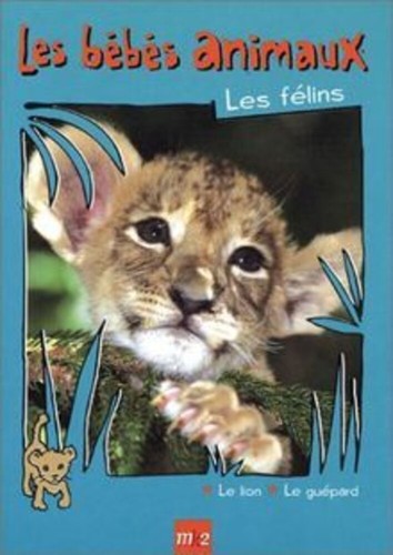 Bébés animaux les félins - bébés,