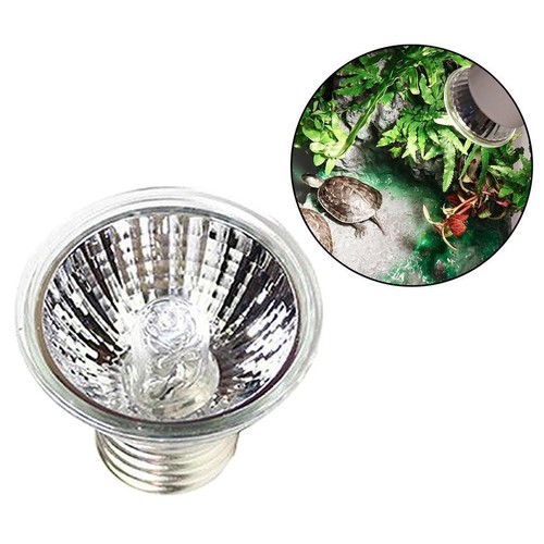 Reptile chaleur ampoule tortue