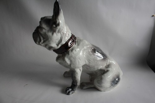 Ancien chien bouledogue terre - chien,