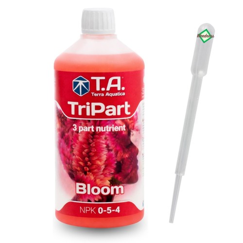 Tripart bloom phase de - phase,