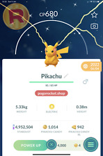 Shiny Pikachu Flowers Crown Costume Go Reg or 1M