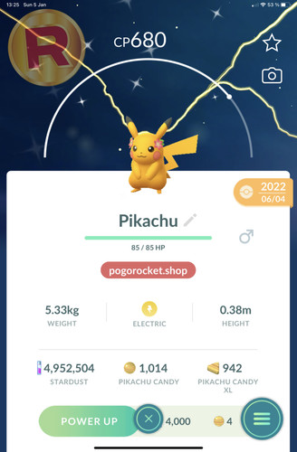 Shiny pikachu flowers - pikachu, crown