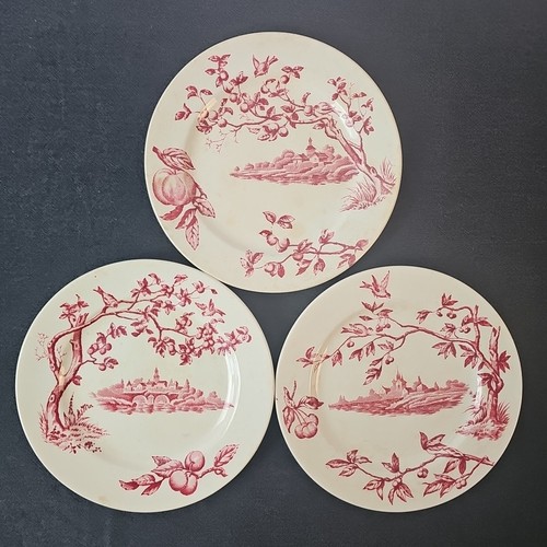 Assiettes plates service - plates,