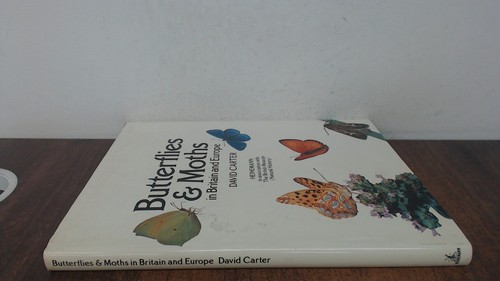 Butterflies and moths in - and,