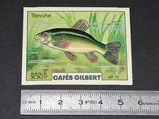 CHROME 1936 CAFES GILBERT FISH RIVER FISH FISH FISH TANK FISH