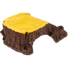  Tortue Grimpant Rampe