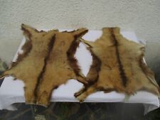 2 peaux de chevrettes