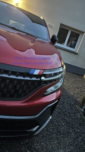 Renault austral drapeau - austral,