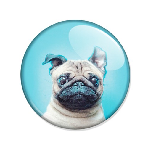 Badge small dog pug french - dog,
