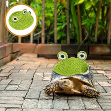  Décoration De Carapace