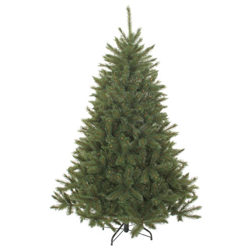 Triumph tree bristlecone sapin - tree,