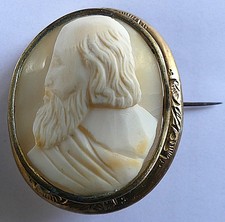 19è BROCHE CAMEE COQUILLE