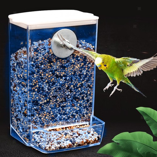 Mangeoire oiseaux pour - mangeoire, à