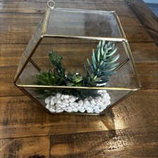 Geometric Gold Edge Terrarium Fake Succulent Home Decor Floral Open Side Glass