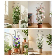 Tuteur pour grimpantes en pot