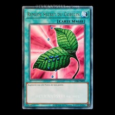 carte YU-GI-OH LOB-FR099