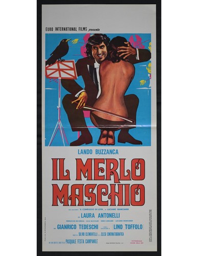 Locandina merlo maschio - merlo,