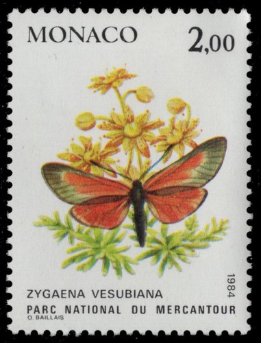 Monaco 1427 burnet moth - -,