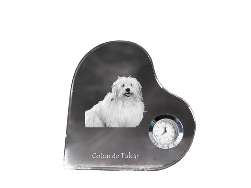 Coton tulear horloge - de, en