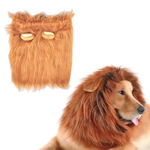Deguisement chien perruque - deguisement,