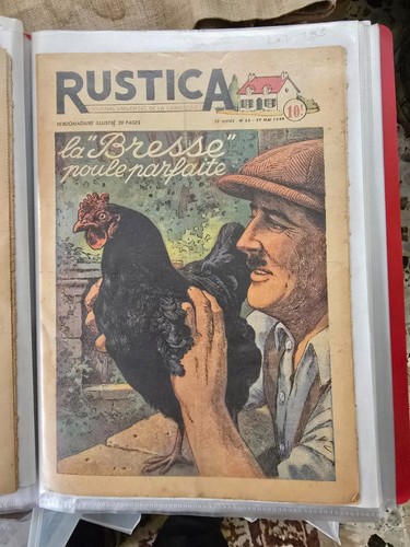 Lot 185 magasine - lot, rustica