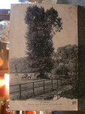 Old postcard 91 stamps prairie au bord de la chalouette horses