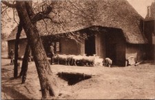 *65745 postcard fantasy - sheep country scene