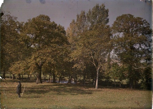 Autochrome paysage sous bois - paysage,, sous-bois