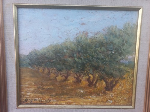 Tableau paysage oliviers dans - paysage,