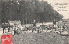 78 - harvest under the Terrace of St-Germain - MESNIL-CARRIERES 26602