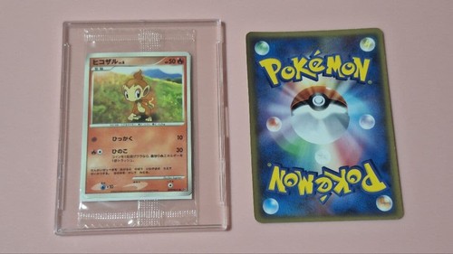Carte pokemon chimchar 8 - carte, lv.8