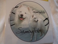 1 autocollant - motif chien