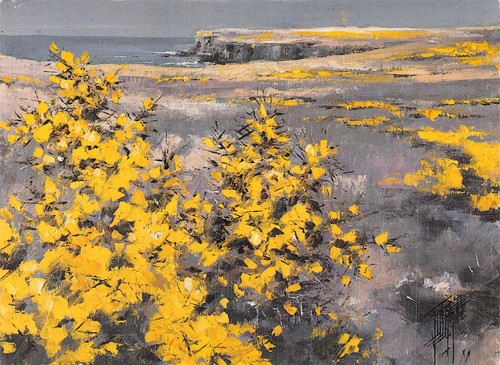 Ouessant - 29,