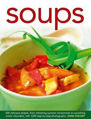 Soups 300 delicious recipes - 300,