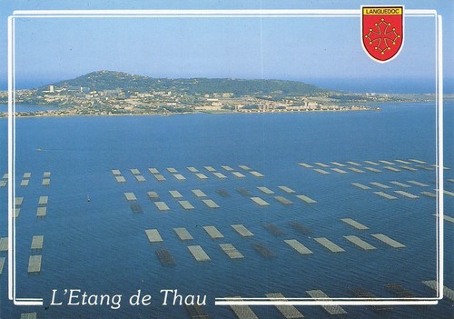 Sete etang de thau - 34,