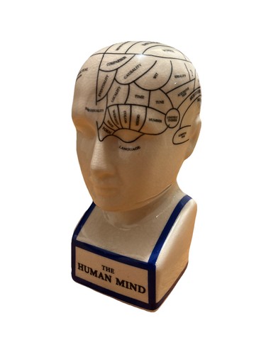 The human mind phrenology - human,