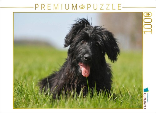 Puzzle calvendo chiot - calvendo,