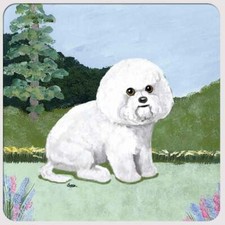 Sous-Verres Bichon Frise -