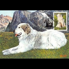 Carte Maximum - N° 3285 - Les