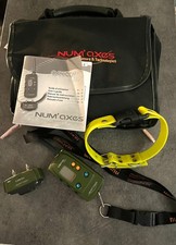 Collier chien de dressage