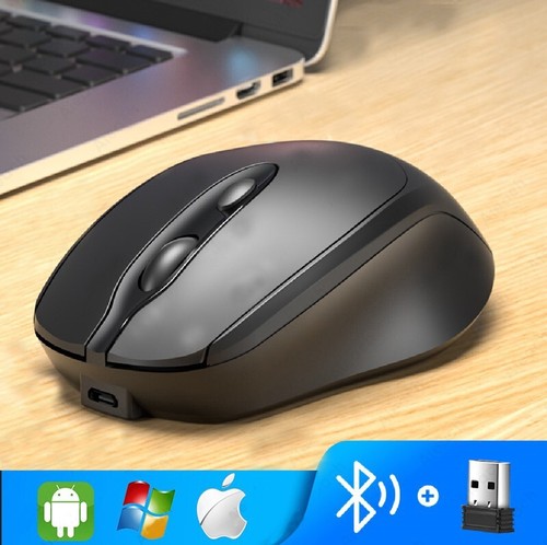 Souris sans fil - souris,