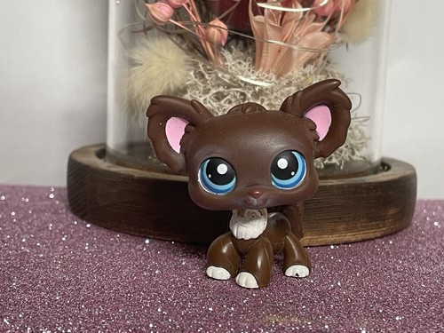 Petshop chien papillon - chien,