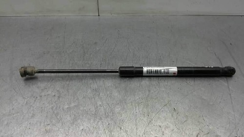 Trunk shock absorbers - trunk,